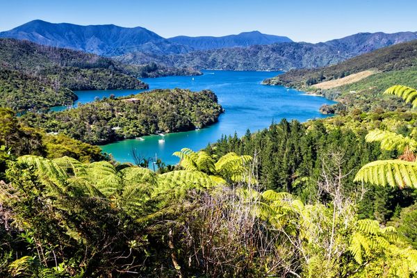 Queen Charlotte Track
